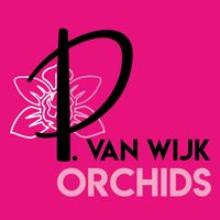 PVANWIJK-LOGO2